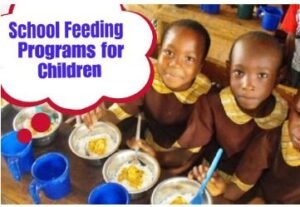 How School Feeding Programs Affect Attendance and Performance in Nigerian Primary Schools