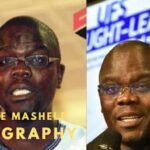 Prince Mashele Biography
